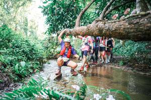 BIB: 
                            <button type="button" onclick="openModal(25514694)" class="btn btn-primary btn-sm float-right btn-popup" data-toggle="modal" data-target=".modal-high-quality">
                        <i class="fas fa-shopping-cart"></i> Add to Cart
                    </button>
                                            <button type="button" onclick="isThisMe(25514694, true)" class="btn btn-success btn-sm float-right btn-popup btn-isme hidden" data-toggle="tooltip" data-placement="bottom" title="นี่คือรูปของคุณใช่ไหม คลิกที่นี่เพื่อเอาเข้าอัลบั้ม">
                        <i class="fas fa-plus"></i> Add to album
                    </button>
                    <button type="button" onclick="isThisMe(25514694, false)" class="btn btn-warning btn-sm float-right btn-popup btn-isnotme hidden">
                        <i class="fas fa-ban"></i> Remove from album
                    </button>